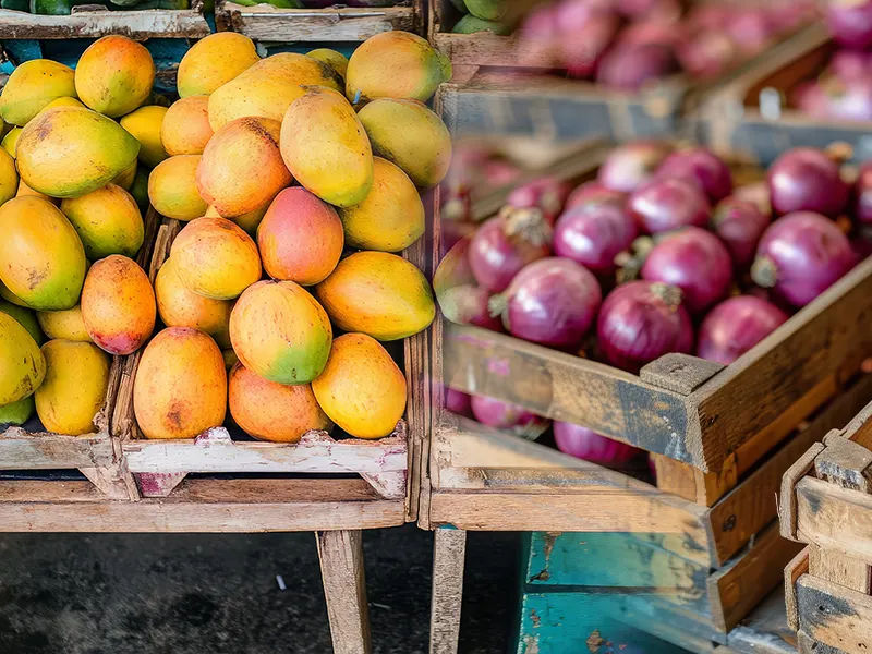 onion&mango exports from India to the UAE