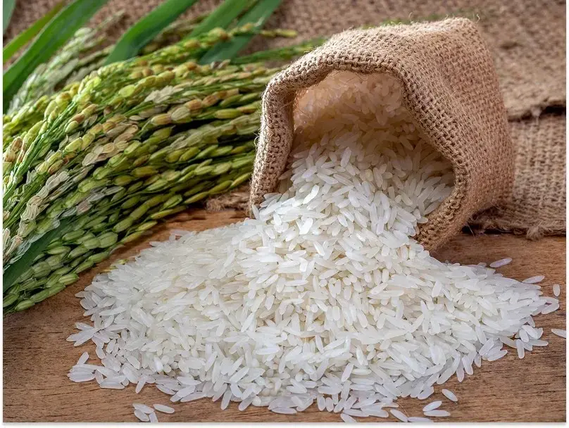 Rice and Agri