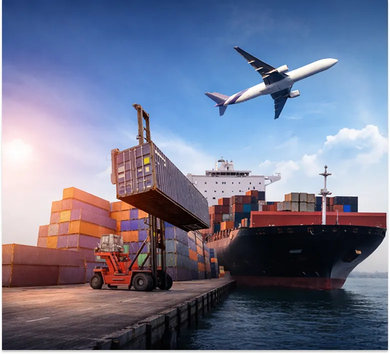 Export Company in India