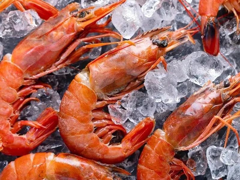 Seafood prawns