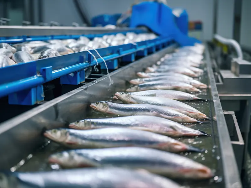 Seafood exporter